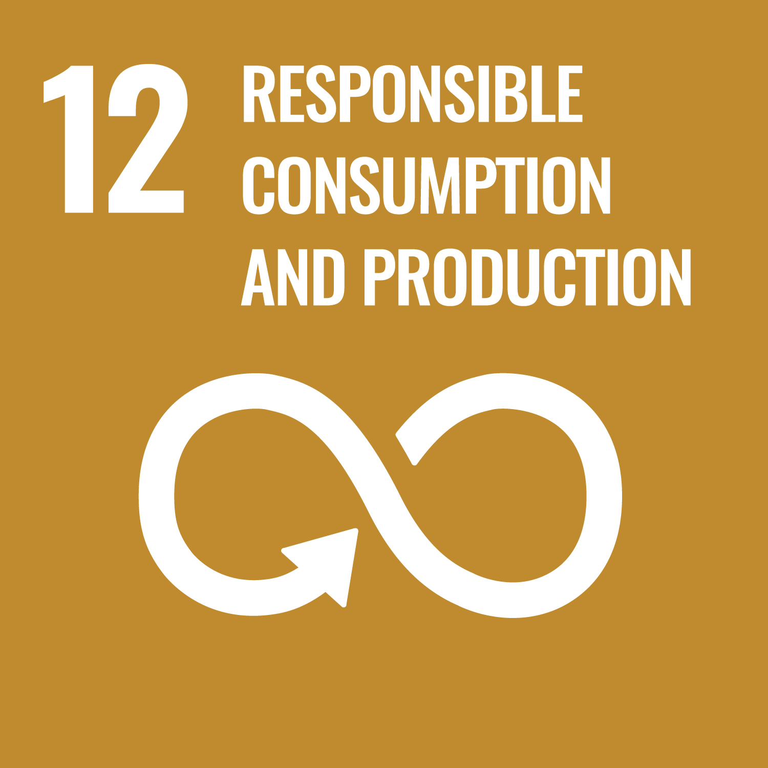 Responsible Consumption & Production