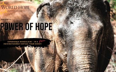 Virtual Tour Event: Trek into the Cambodian Jungle with World Hope!