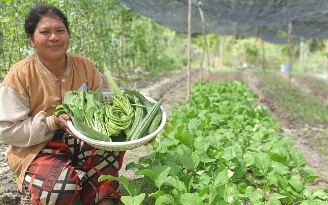 Reviving Farming & Community Resilience in Cambodia