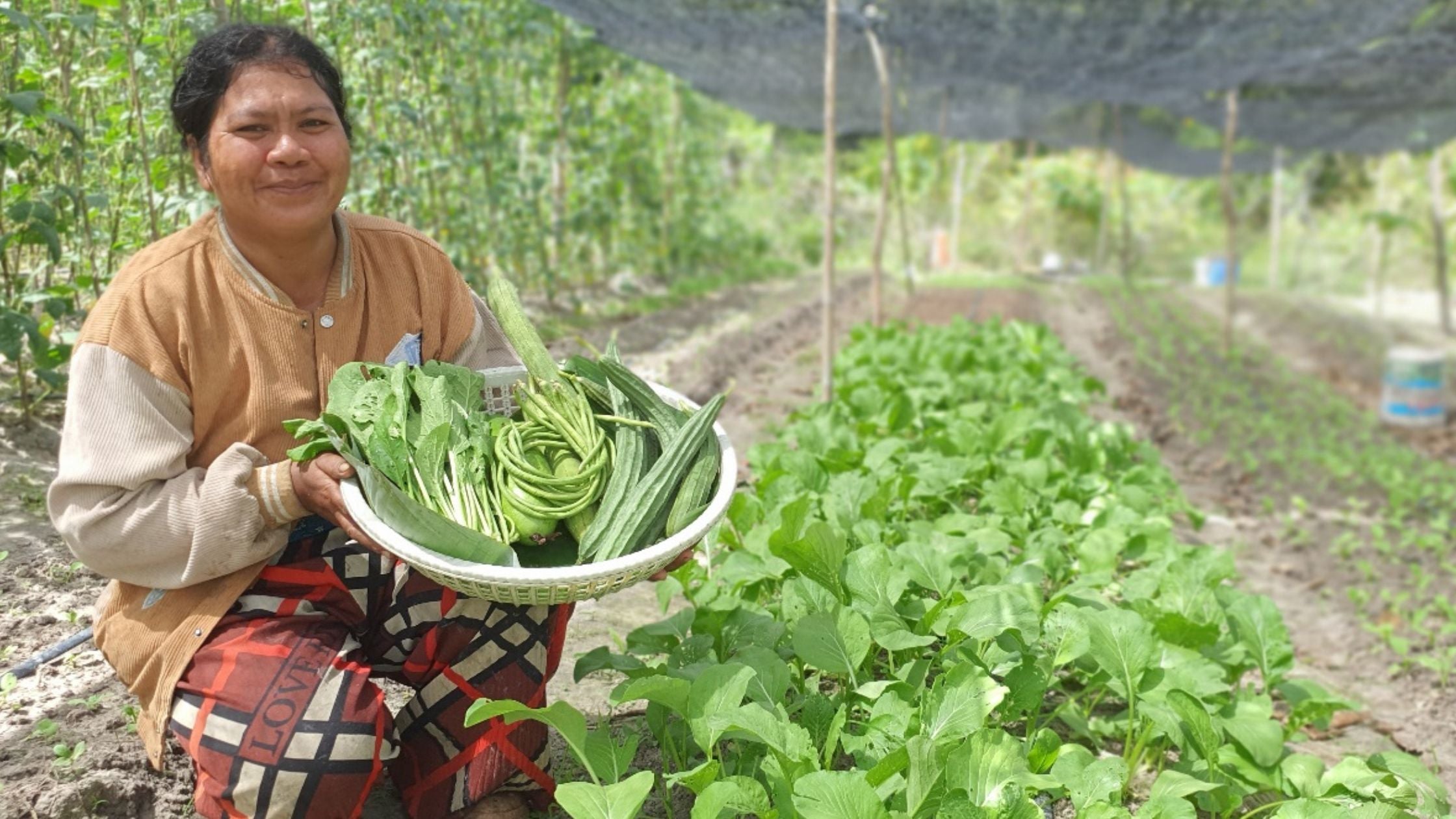 Reviving Farming & Community Resilience in Cambodia Reviving Farming & Community Resilience in Cambodia