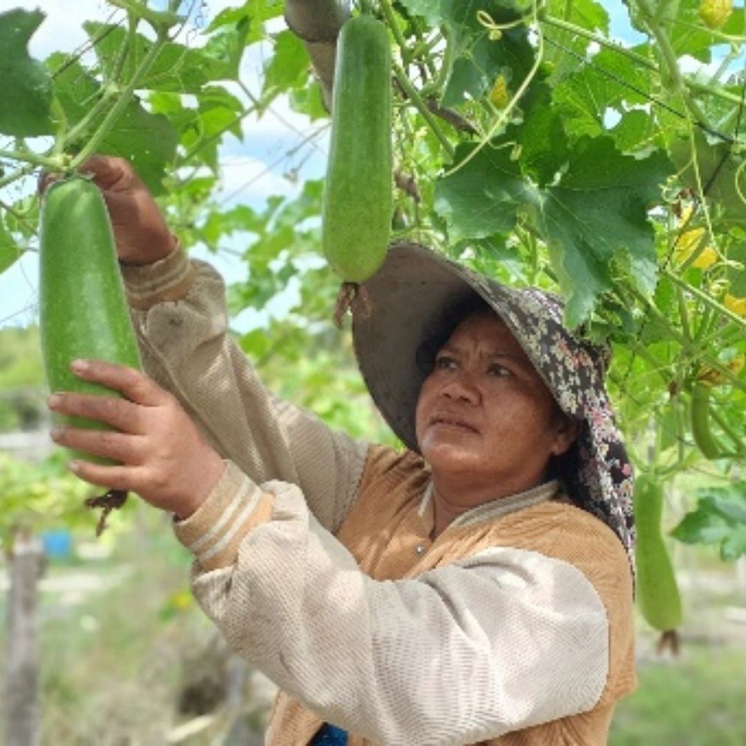 farmer farmer